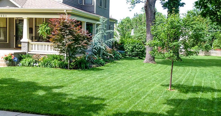 Best artificial grass residential picture