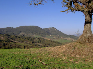 Monte Piantangeli