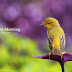 25+ images Cute Good Morning Quotes with messages for Friends