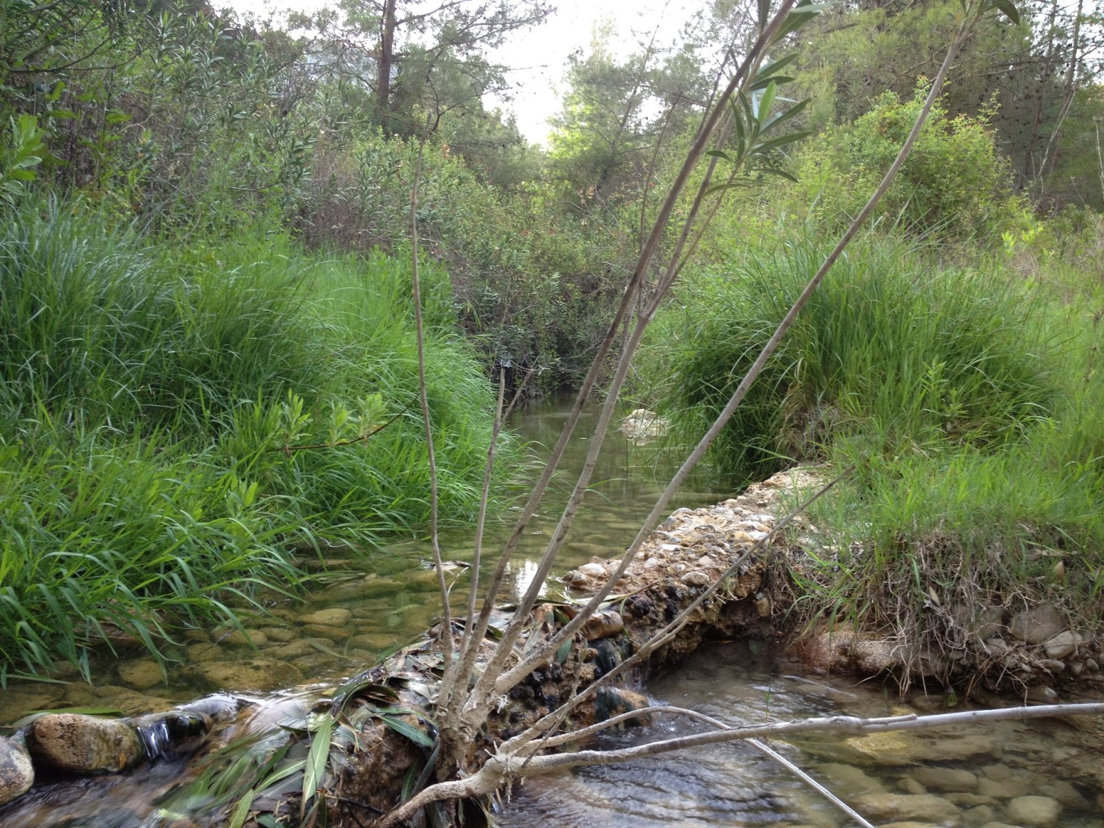 SecretCyprusTravel Archimandrita River, Pafos
