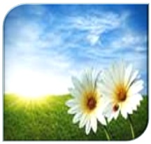 Dualidade da Vida significa vivenciar a vida material e a espiritual ao mesmo tempo, ou seja conhecer-se como força e matéria.