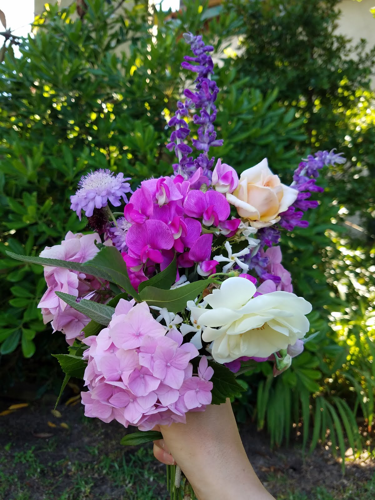 Flores del jardín