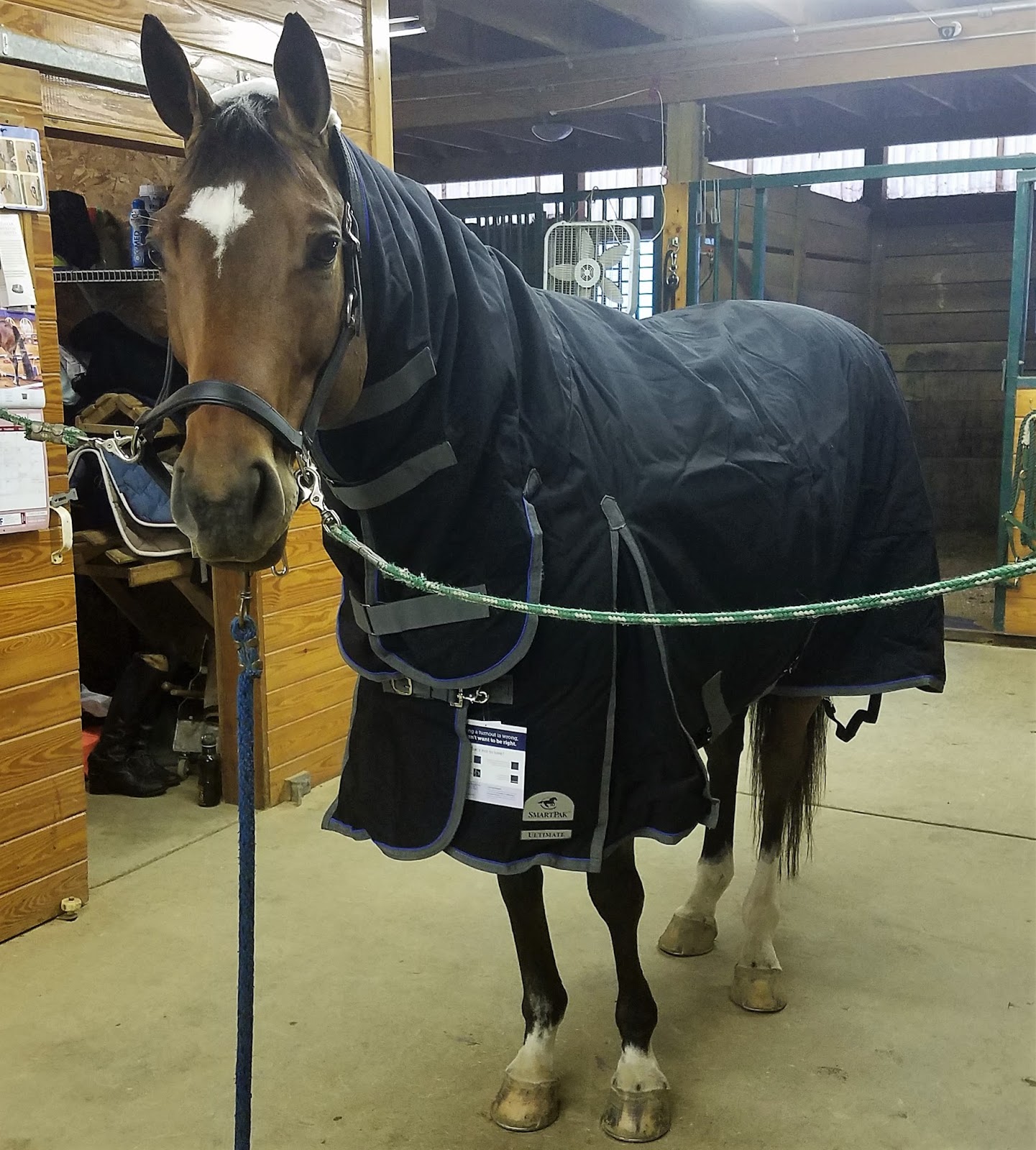 Dream Big Blankets, Clipping, and Training