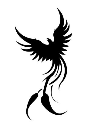 phoenix tattoos images phoenix tattoo images meaning phoenix tattoo 