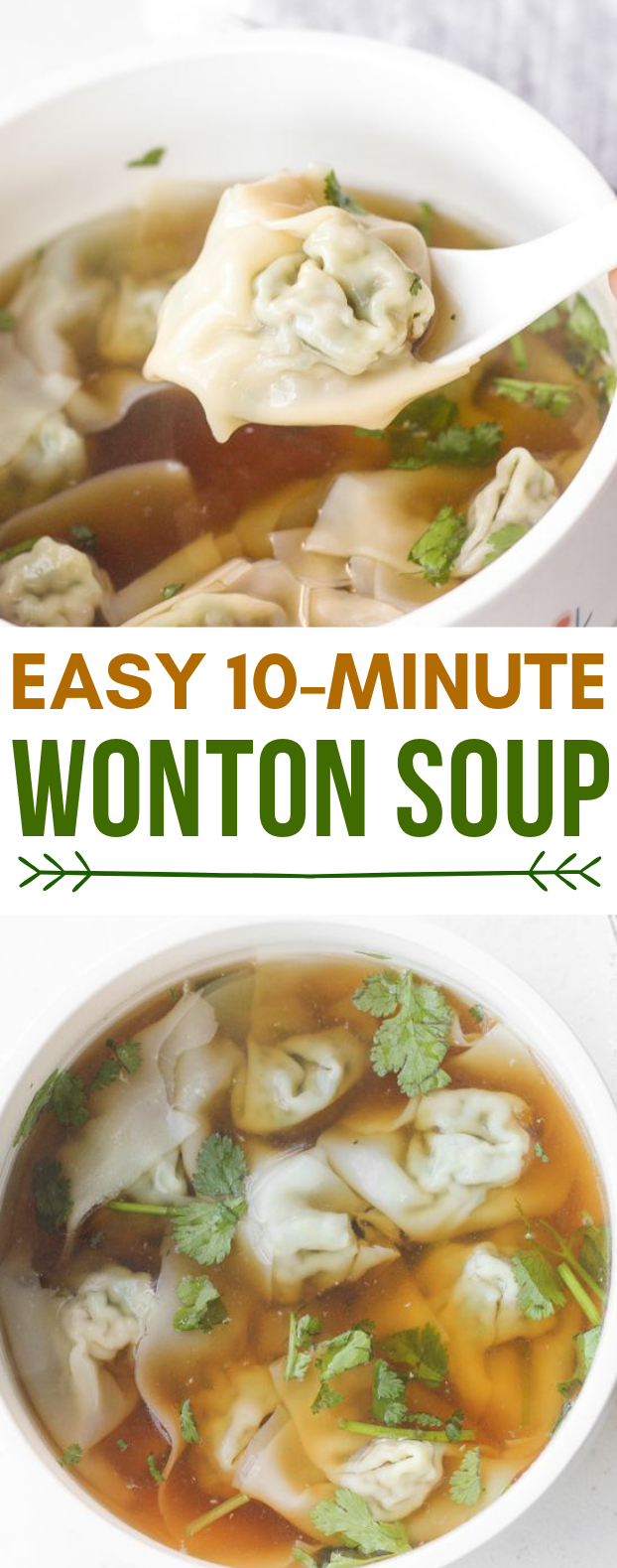 EASY 10-MINUTE WONTON SOUP EASY 10-MINUTE WONTON SOUP