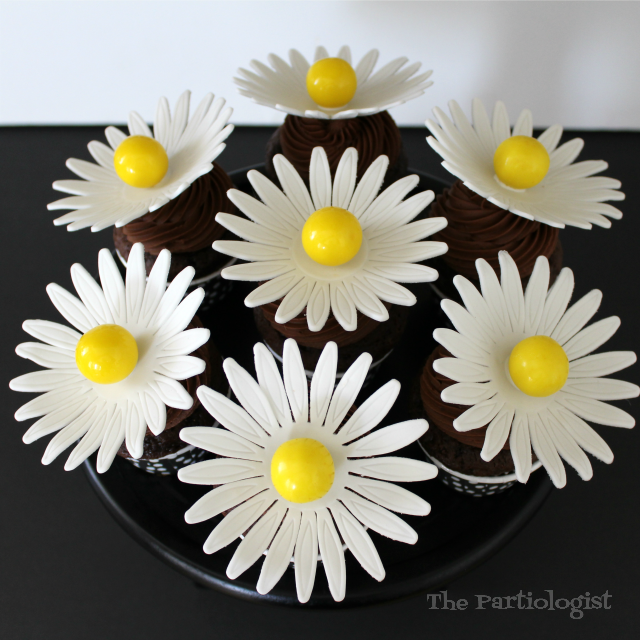 The Partiologist Jumbo Daisy Cupcakes and Chocolate Marshmallow Daisies!