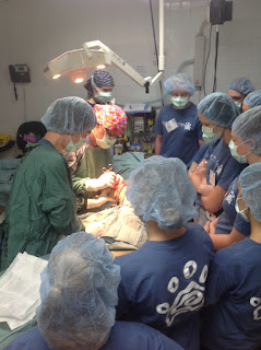 Future-Vet-Kids-Camp-observing-surgery