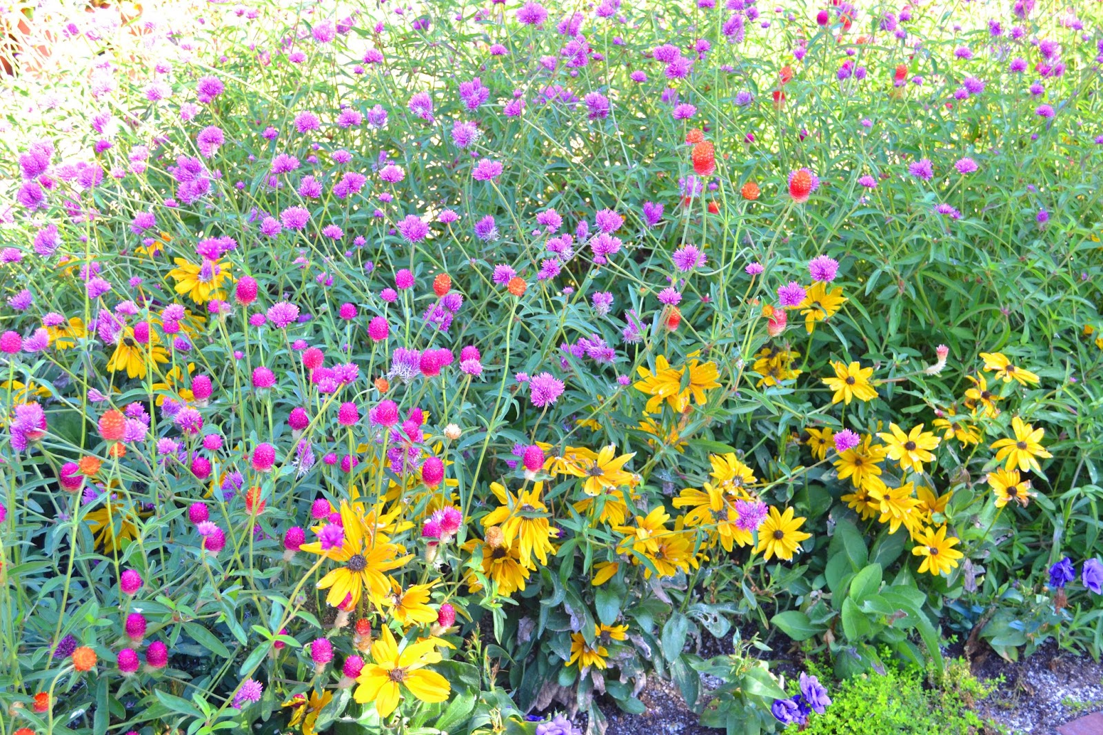 My Painted Garden: Art In the Garden Series