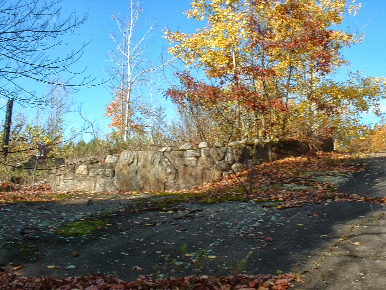 Frank's Place Rocky Glen Park