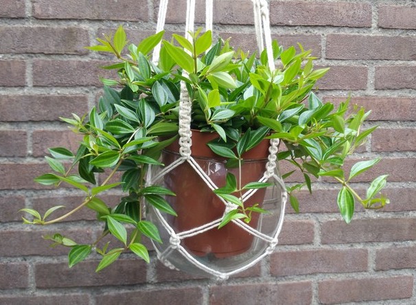 Macrame Plantenhanger