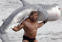 Donald Trump and the Left Shark 2016 presidency  anti Hillary Corruplinton run
