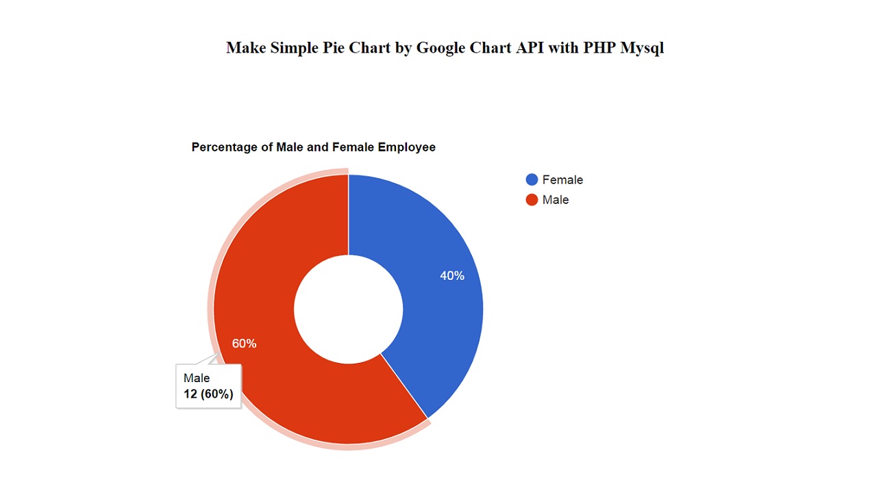 Pie Chart Using Php