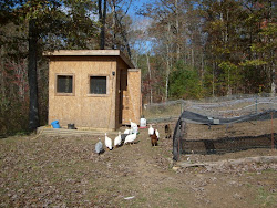 coop homesteading tennessee