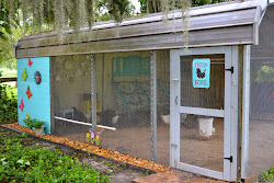 coop chicken carport open run decorating heart reveal into air shed turning omelet visiting fix soon thanks stop again ll