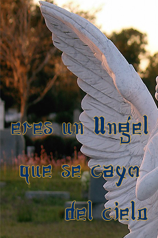 Eres un ángel que se cayó del cielo Eres un ángel que se cayó del cielo