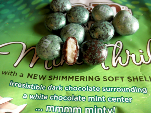 Mint Chocolate M&M's Fudge - Pins and Procrastination