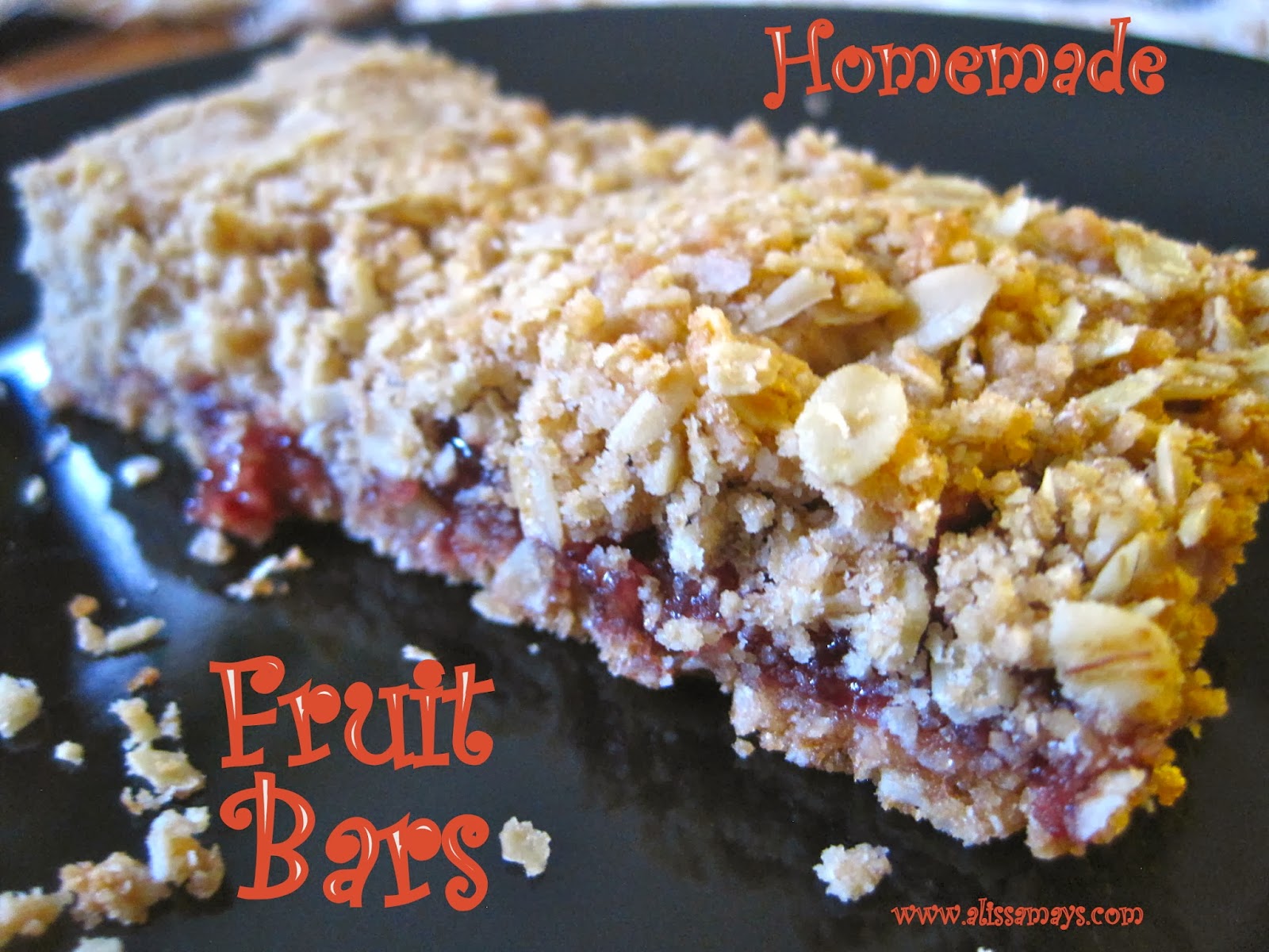 Alissamay's Homemade Fruit Bars