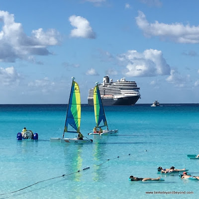 water activities on Half Moon Cay in Bahamas, Holland America Line's Niew Amsterdam in background
