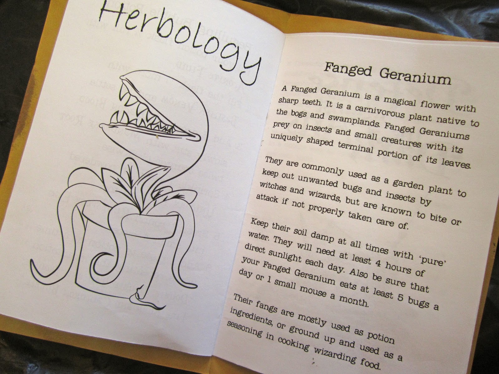 Sweeten Your Day Events: Hogwarts School of Witchcraft & Wizardry ...