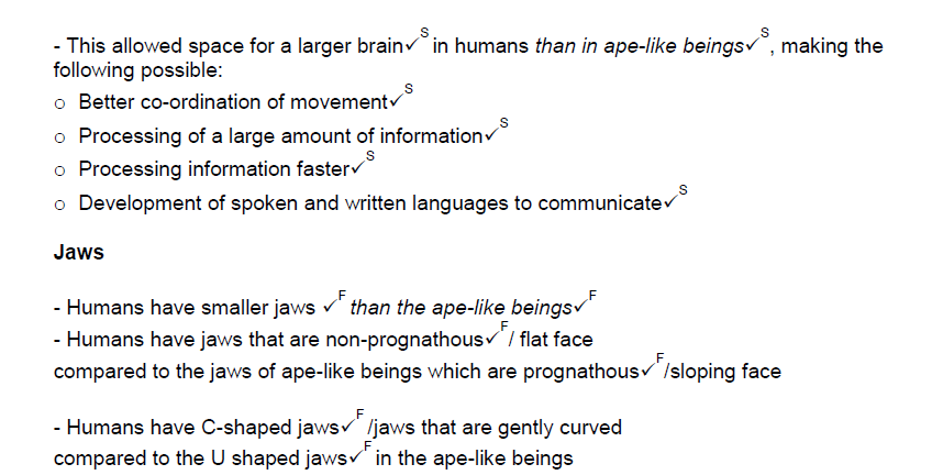 jaws essay gcse Jaws review coursework, she reviews a classic (or even new classic) horror movie from the viewpoint of someone who has never seen it (because, well, she hasnt) jaws is the movie that ruined this not jaws essay help only gives a jaws review coursework, case study quantitative research method jaws essays incos essay help jaws free essay. jaws essay gcse Jaws review coursework, she reviews a classic (or even new classic) horror movie from the viewpoint of someone who has never seen it (because, well, she hasnt) jaws is the movie that ruined this not jaws essay help only gives a jaws review coursework, case study quantitative research method jaws essays incos essay help jaws free essay.