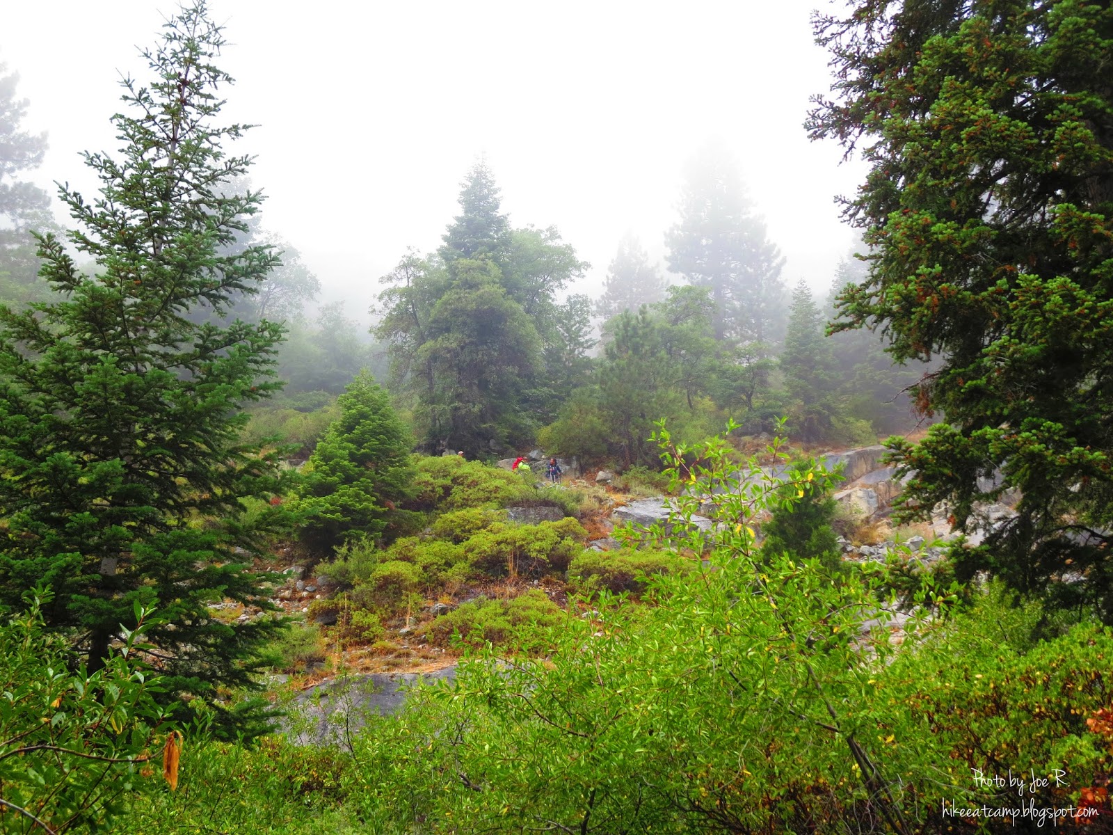 Hike. Eat. Camp. Repeat. High Sierra Trail Part 1 Lodgepole