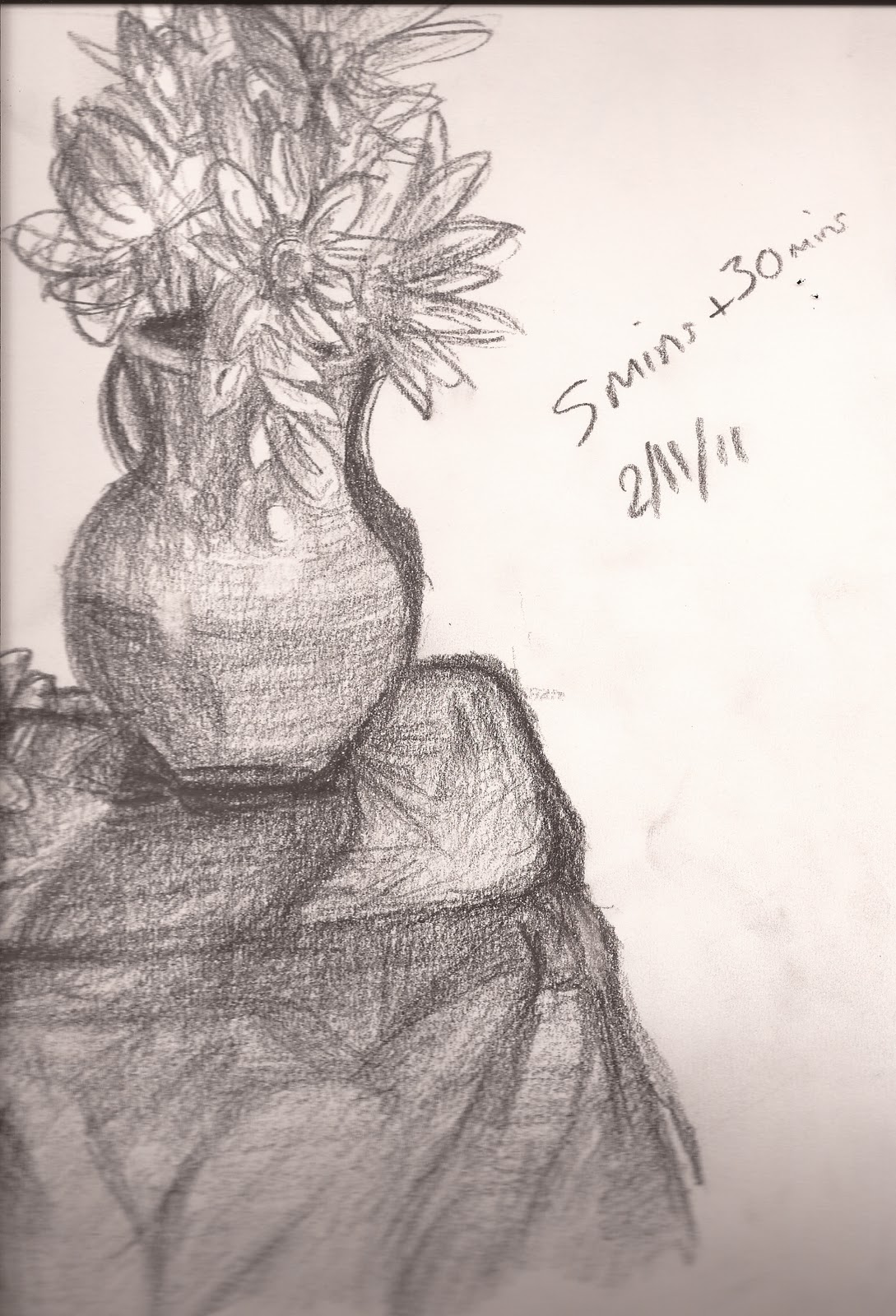 Observational Drawing Blog Flowers