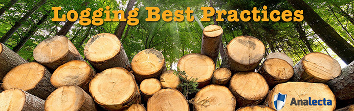 Logging best practices Analecta LLC