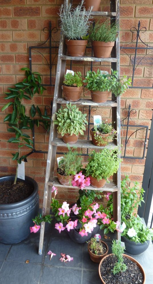10 Amazing Ideas to Make Your Own Wooden Ladder Garden Do it yourself