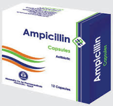 Resep Obat Sipilis Antibiotik Pria Dan Wanita Resep Obat Sipilis Antibiotik Pria Dan Wanita