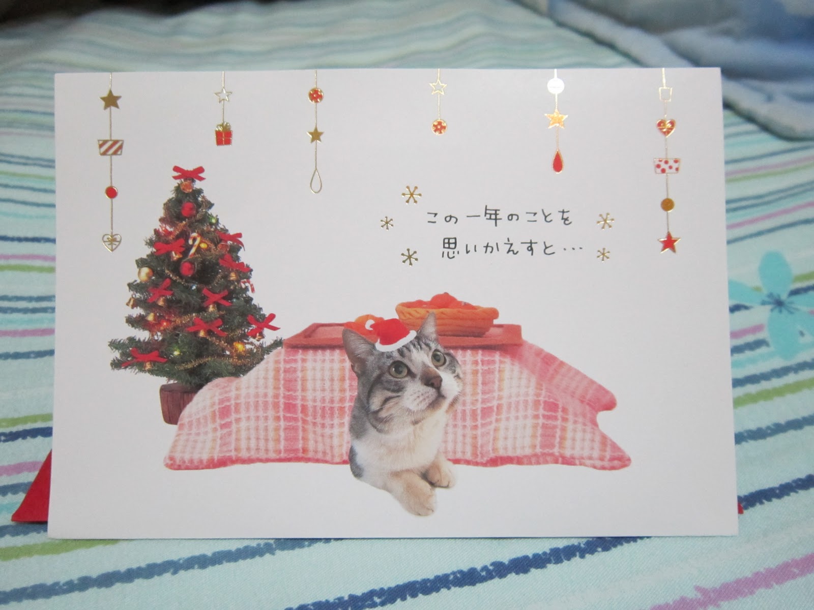 Debby's Journal: Christmas Gift from Japan~