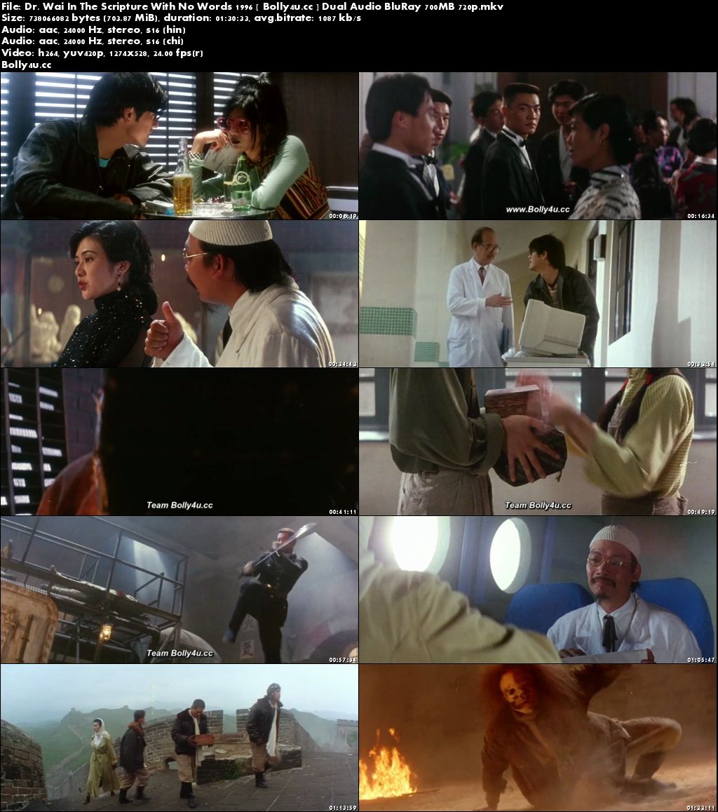 Dr Wai In The Scripture With No Words 1996 BluRay 300MB Hindi Dual Audio 480p Download