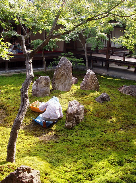 Garden Therapy: Different Garden Ideas