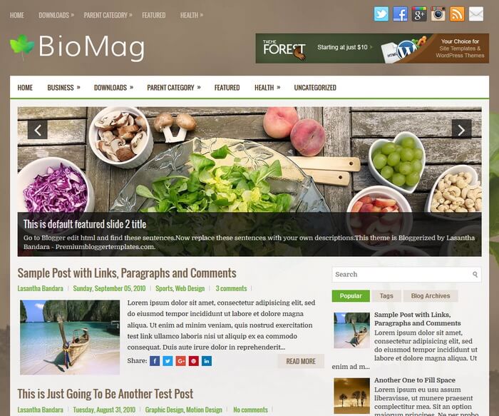 BioMag BioMag Blogger Template