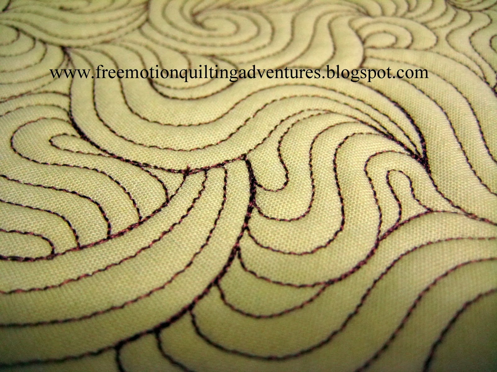 Amy's Free Motion Quilting Adventures Free Motion Quilting Video