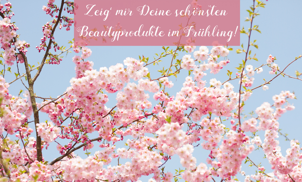 Im Blutenrausch Mia S Blog