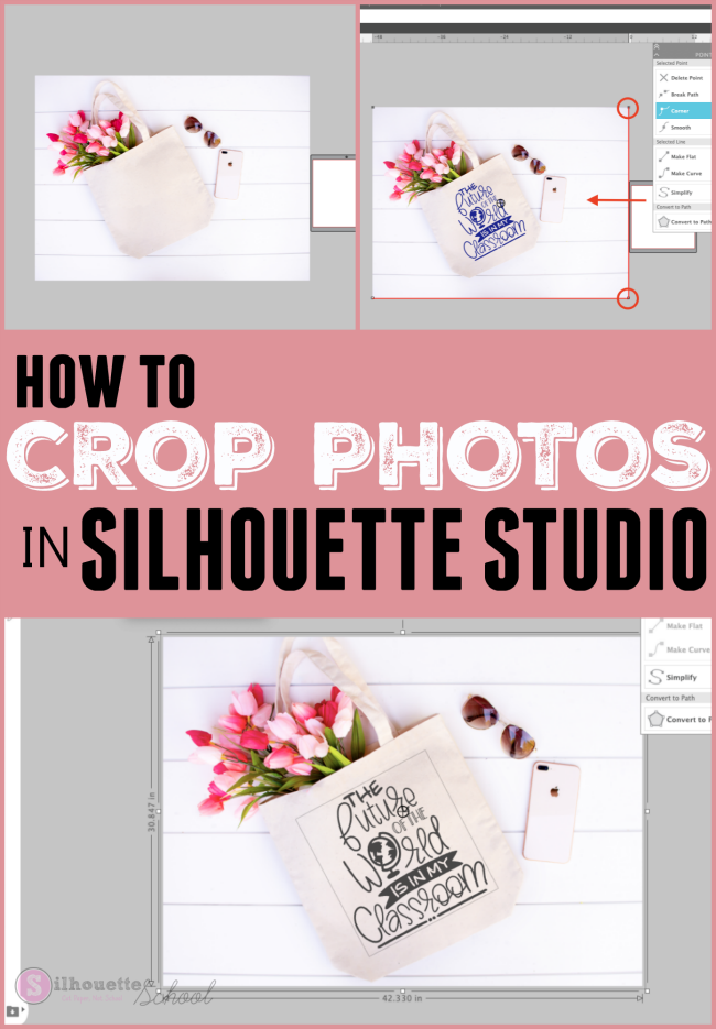 silhouette america blog, silhouette 101, crop photo, silhouette studio, silhouette studio v4.2