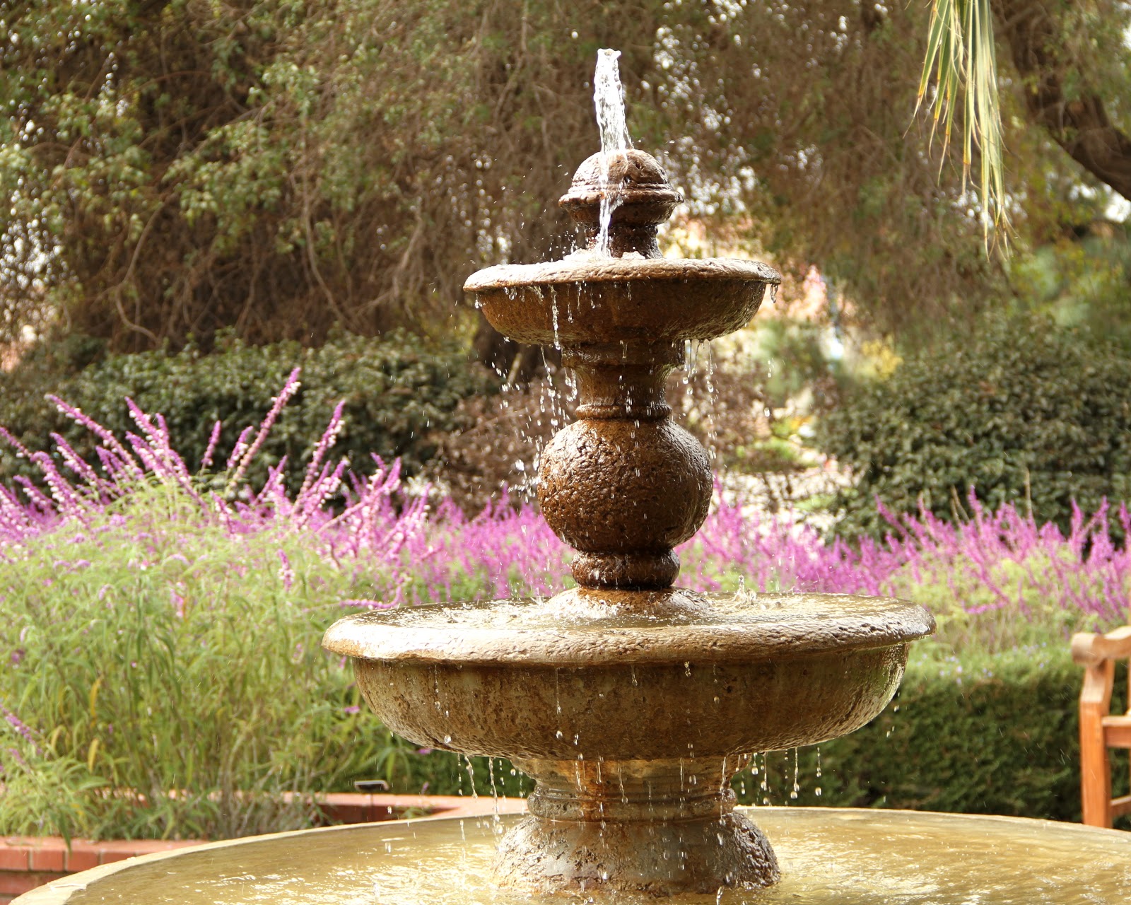 Enjoy the Ride: Camarillo Ranch House Enjoy the Ride: Camarillo Ranch House
