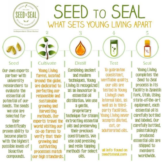 How to Reactivate Your Young Living Membership