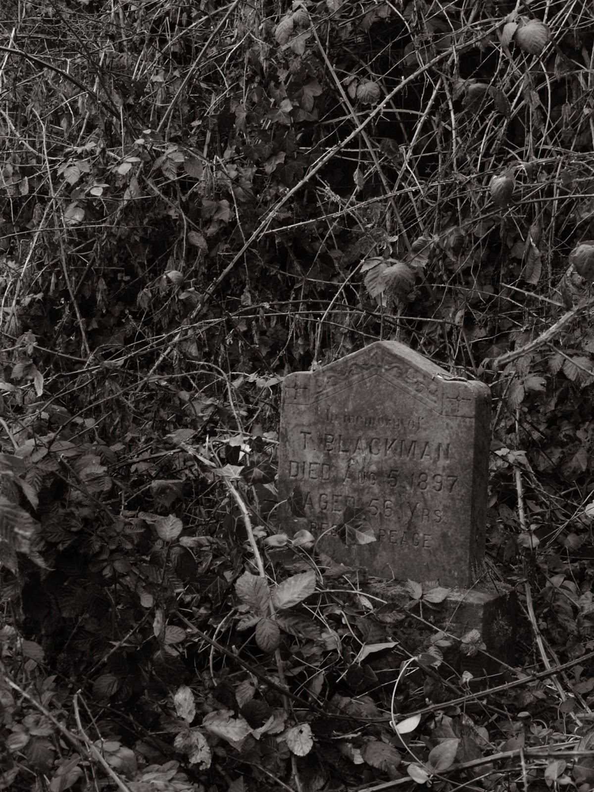 Pacific Northwest Pierce County Potter's Field,