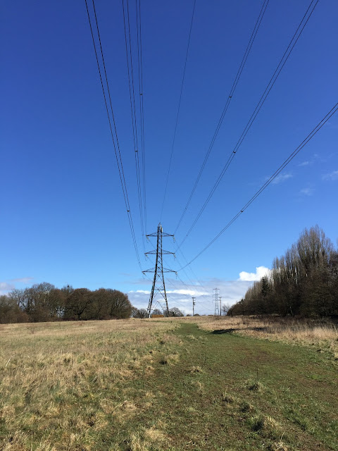 Electricity pylons disappearing off into the distance, Moor Park