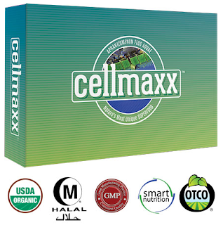 Cellmaxx Super Food yang Bernutrisi Tinggi