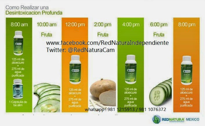 Malteada red natura para bajar de peso Malteada red natura para bajar de peso