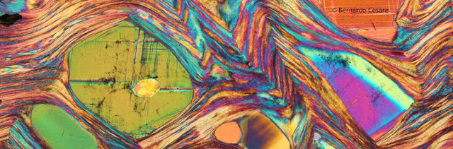 Polarizing microscopy image of rock thin sections and minerals.