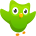 تحميل برنامج دولينجو لتعلم الإنجليزية مجانا Duolingo 2016