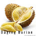 Distributor Daging Durian Medan Terharum di Aceh Jaya