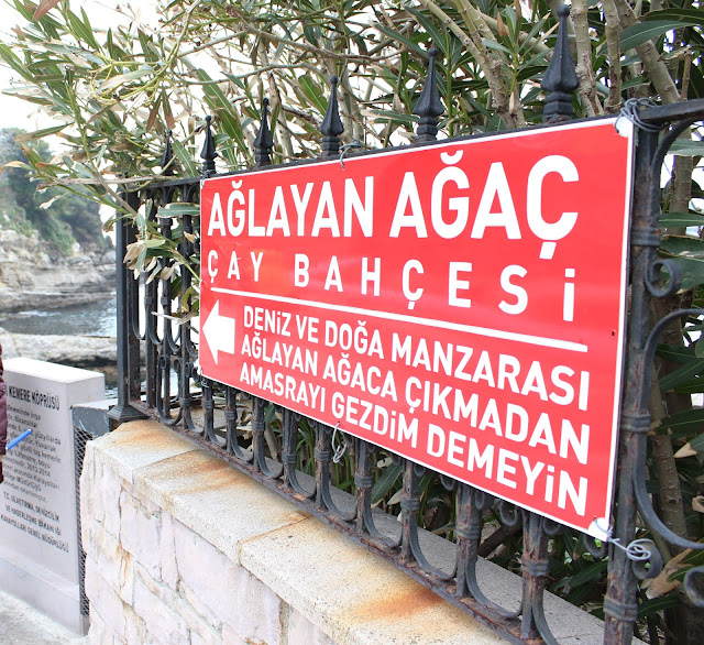 amasra gezisi ağlayan ağaç çay bahçesi