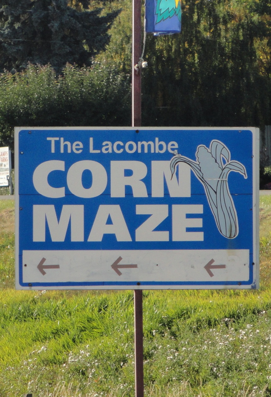 To Serve With Love Corn Maze