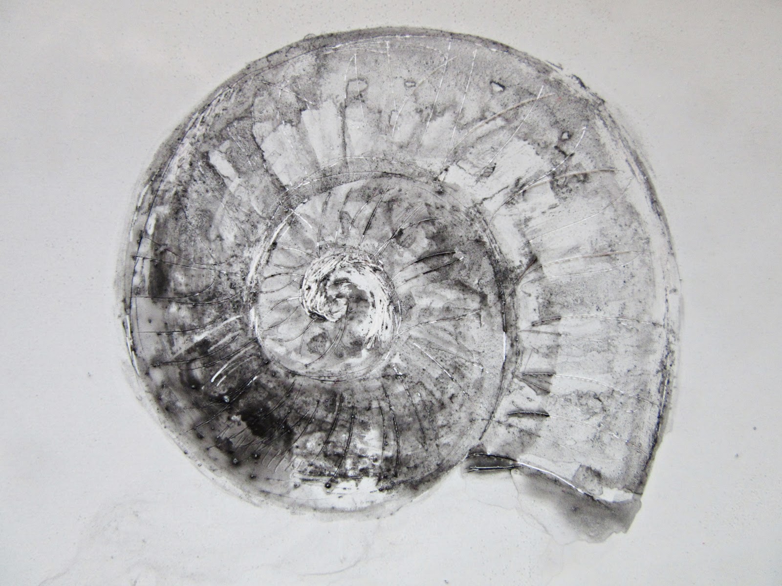 KUNST | Marlies Blauth: Zeichnung: Schnecke