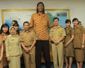 Manusia Yang Pernah Hidup Di Indonesia Dengan Ukuran Badan Tertinggi Adalah Suparwono Berbagai Ukuran