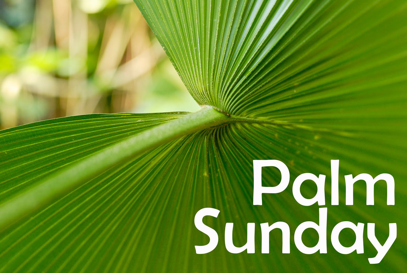 free christian clipart palm sunday - photo #23